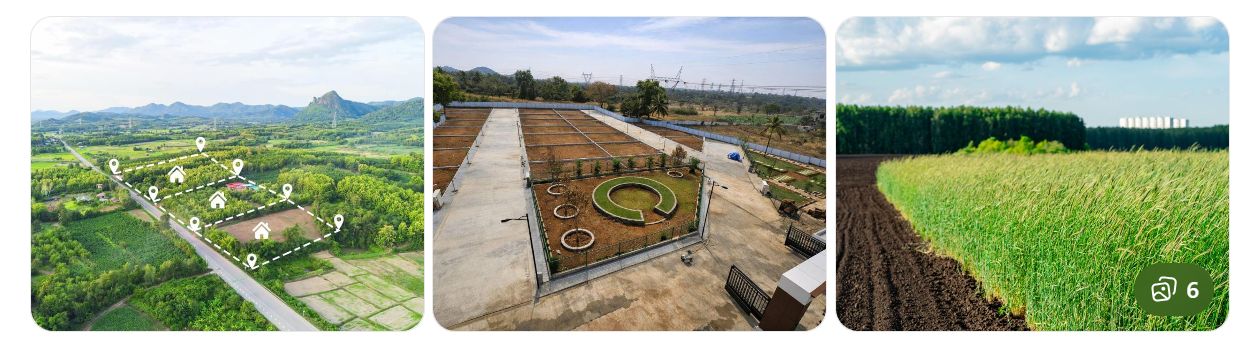land and plots