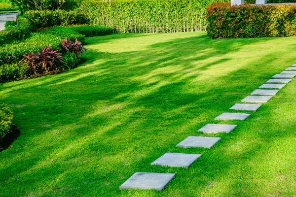 Modern stepping stone pathway across a lush green lawn