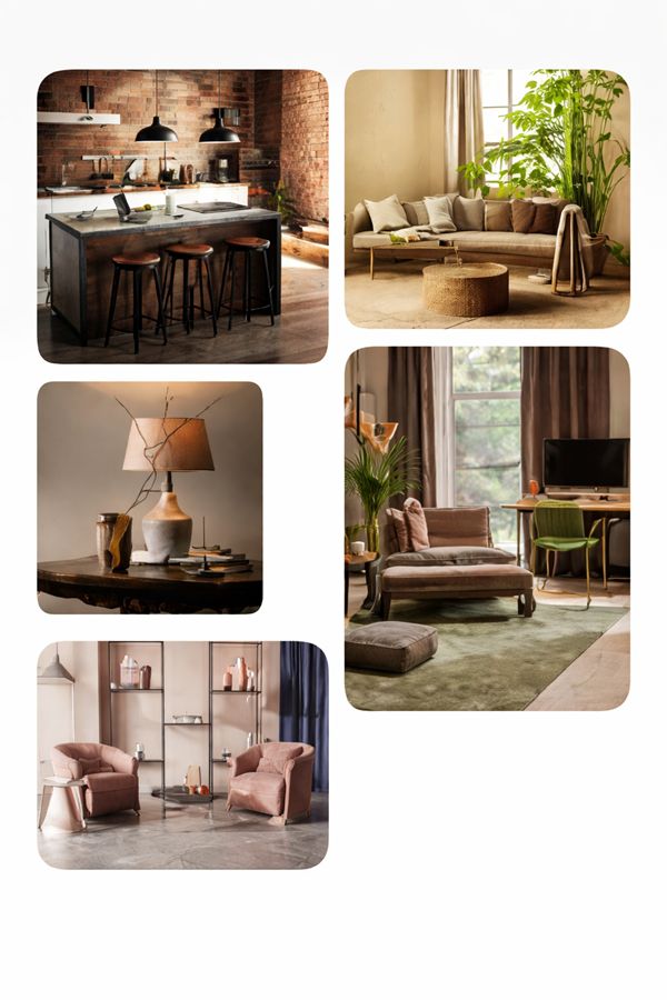 Modern furniture store collection