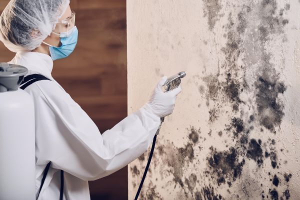 Mold growth on wall being treated and removed by restoration worker