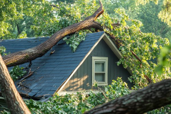 Tree fallen on house roof after storm damage requiring restoration