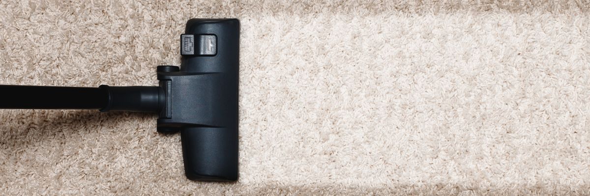 Close up of vacuum cleaner on carpet