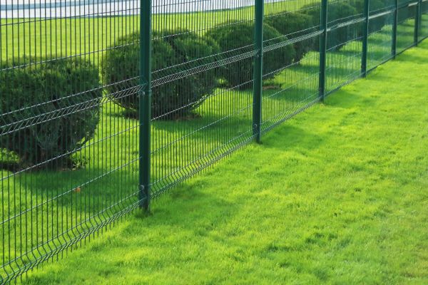 Wire mesh fence
