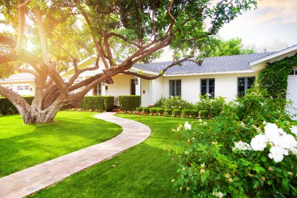Custom home built by a home builder with landscaped garden and modern exterior