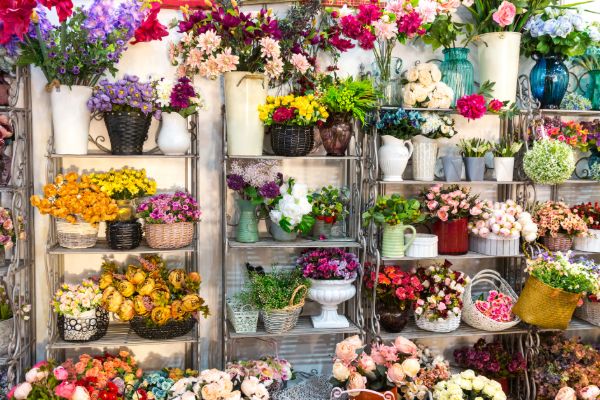 Interior display of colorful fresh flowers and bouquets inside a florist shop