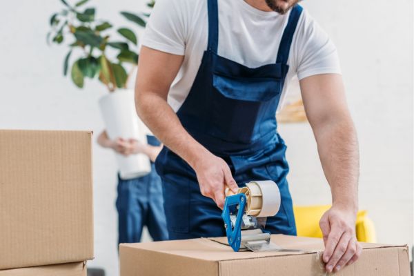 Mover packing boxes