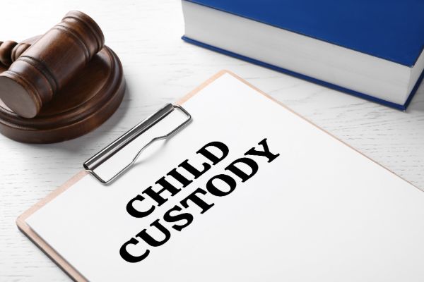 Child custody and protection issues involving family and domestic violence concerns