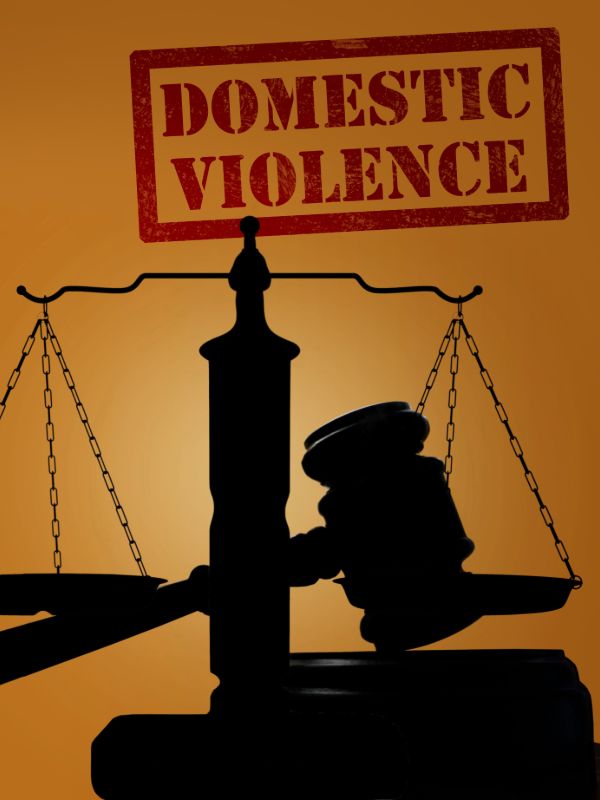 Domestic violence legal representation and court support